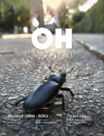 Deckblatt des ÖH Boku Magazins, Sommerausgabe, September 2023